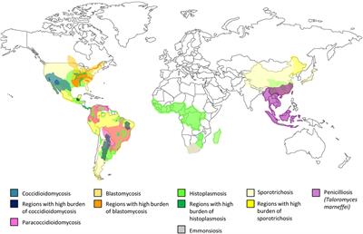 Cellular and Molecular Defects Underlying Invasive Fungal Infections—Revelations from Endemic Mycoses